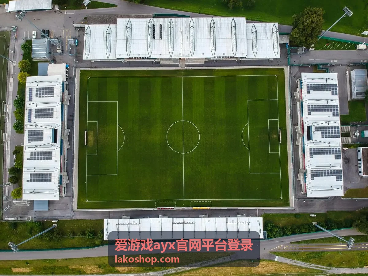 爱游戏ayx官网平台登录异地登录提醒的处理流程示意